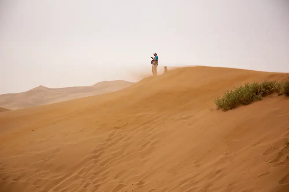 Coastal Escapes