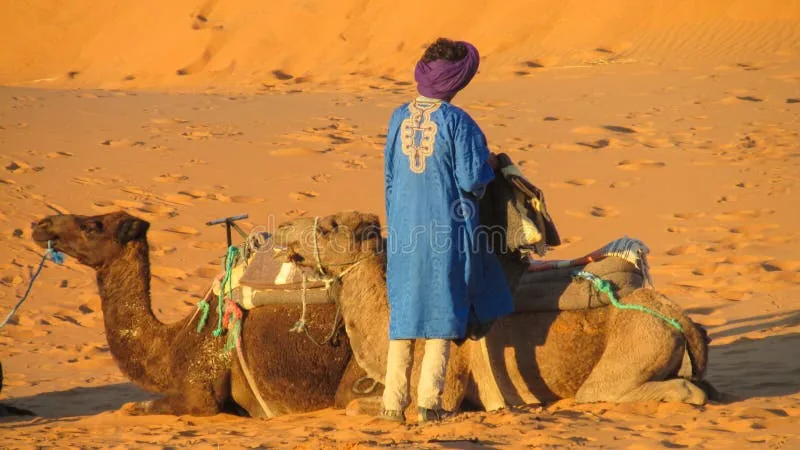 مسار للرحلات — السياحة والضيافة website template